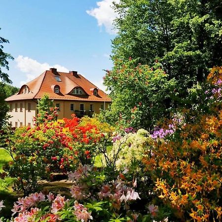 Rezydencja Grawert Boutique & Spa Lądek-Zdrój Kültér fotó