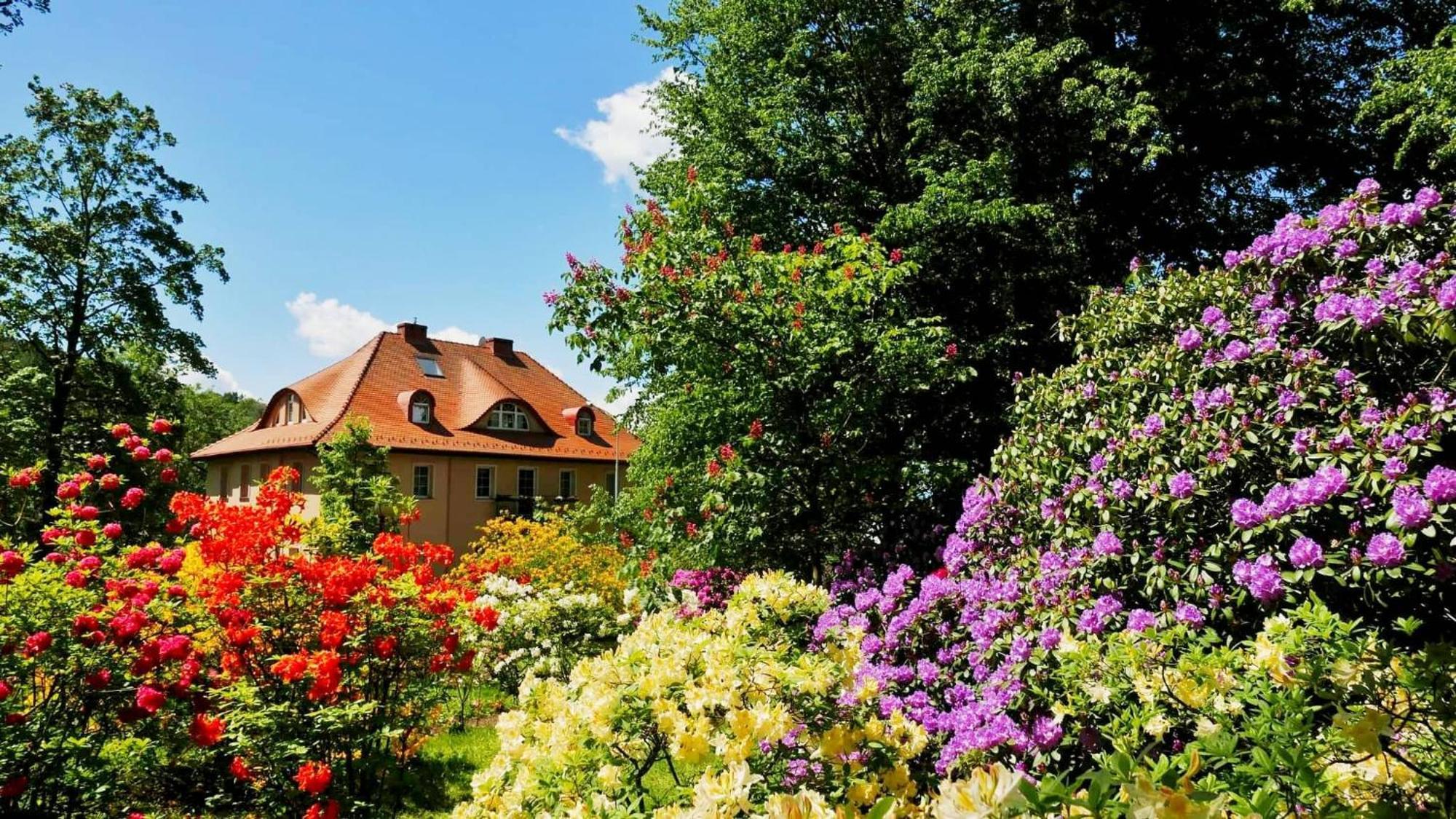 Rezydencja Grawert Boutique & Spa Lądek-Zdrój Kültér fotó